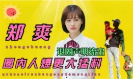 圈内爆料郑爽视频,圈内爆料引发热议